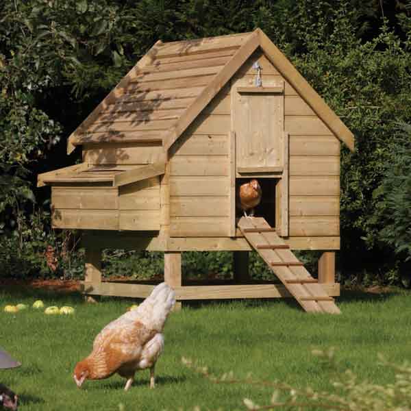 ... Buildings Rowlinsons Large Chicken Coop Garden Hen HouseFREE Delivery
