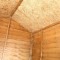 8' x 6' Windowless Single Door Overlap Apex Wooden Shed