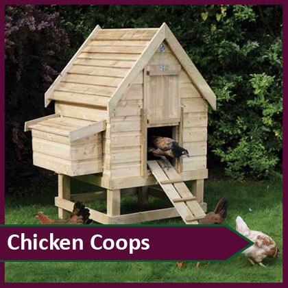 Chicken Coops